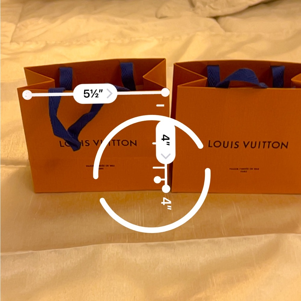 Louis Vuitton mini bag